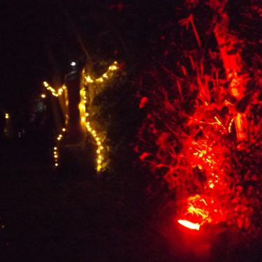 ILLUMINALYS