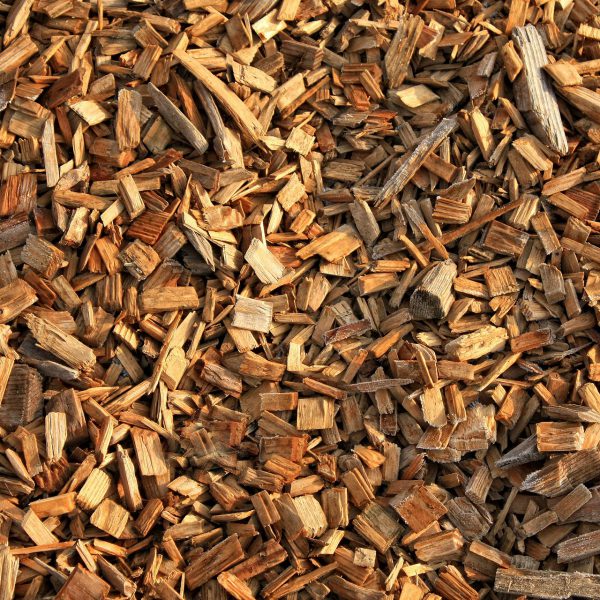 Pas d'opération Copeaux de Bois cette année