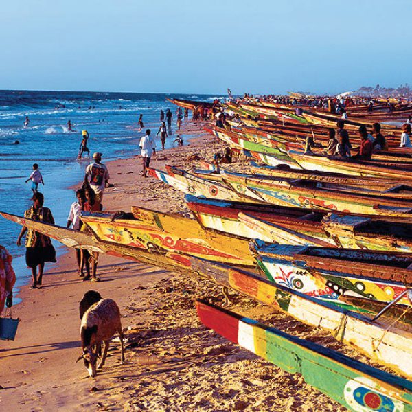Exposition Sénégal