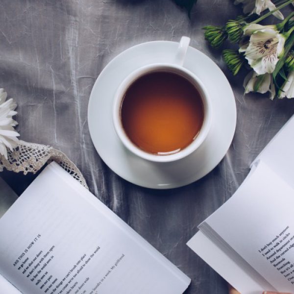 RENTREE LITTERAIRE
