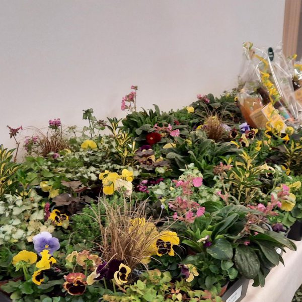 Concours des maisons et jardins fleuris