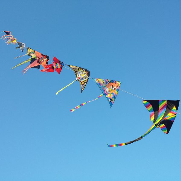 Sortie Cerfs-volants
