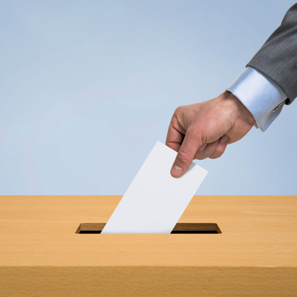Elections législatives
