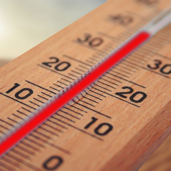 Registre Canicule
