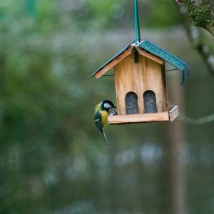 Concours des maisons fleuries