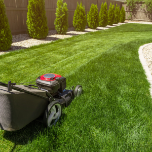 Respect du voisinage