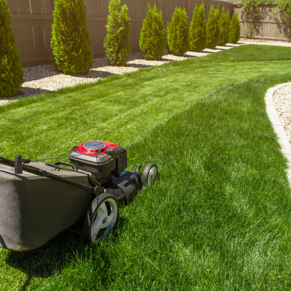 Respect du voisinage