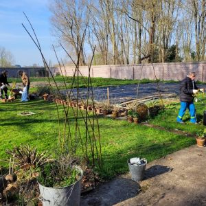Un nom pour le potager du Château !